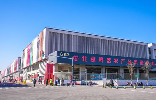 山東蘭陵蔬菜將規?；M京